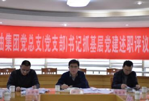集團(tuán)召開2016年度黨總支（黨支部）書記抓基層黨建述職評議考核大會